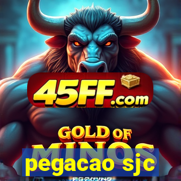 pegacao sjc